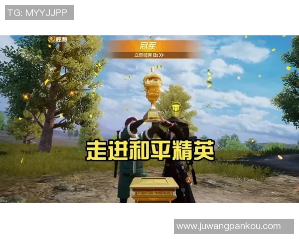 王芳专访揭秘和平精英成功背后的策略与创新之路